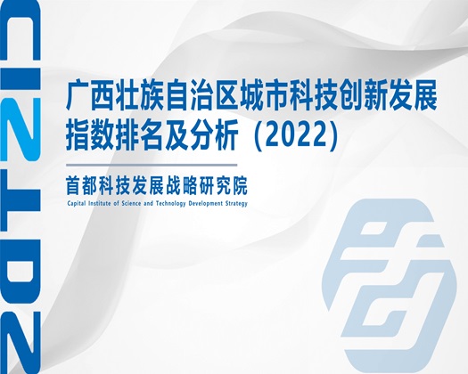 网站操鸡巴视频下载【成果发布】广西壮族自治区城市科技创新发展指数排名及分析（2022）